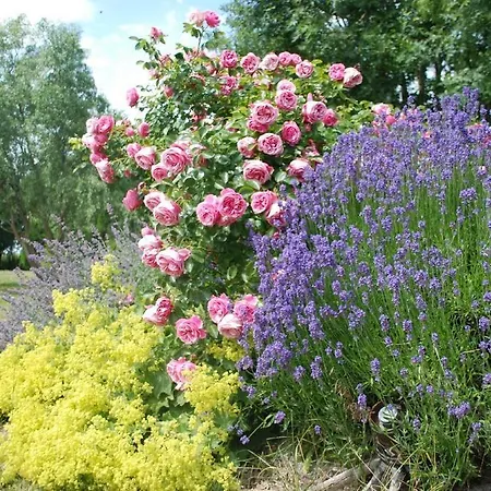 Lejlighed Bergkristall